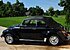 1979 Volkswagen Beetle Convertible for sale 101060124